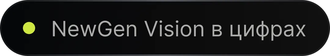 Label Saying "NewGen Vision in Numbers"